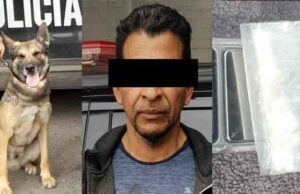 Colabora “Pepol”, de la Policía Estatal, en acciones contra el narcomenudeo en Hermosillo Colabora “Pepol”, de la Policía Estatal, en acciones contra el narcomenudeo en Hermosillo