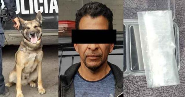 Colabora “Pepol”, de la Policía Estatal, en acciones contra el narcomenudeo en Hermosillo