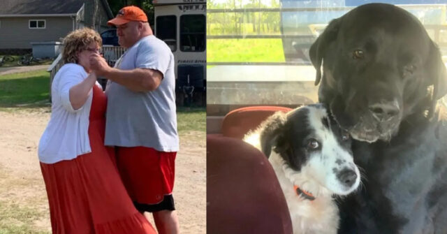 Esposos se quitan la vida junto a sus dos perros en un pacto de amor