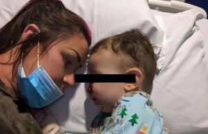 Perro de la familia le destroza el rostro a un bebé de dos años