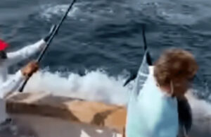 Pez vela salta y atraviesa a una mujer de 73 años que pescaba con unos amigos Pez vela salta y atraviesa a una mujer de 73 años que pescaba con unos amigos